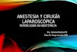 Anestesia y cirugía laparoscópica. repercusion obstetrica
