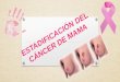 Estadificación del cáncer de mama