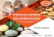 Guía de oportunidades Tolima - Procolombia
