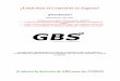 "Módulo PHVA de GBS...", Conozca el módulo, Innovaciones, Manuales, Aprenda, Descargue, Use