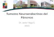 Tumores neuroendocrinos del páncreas