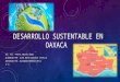Desarrollo sustentable-en-oaxaca