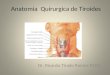 Anatomia  quirurgica de tiroides 2