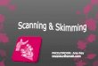 Scanning and skimming (1)