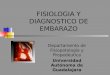 72 fisiologia-y-diagnostico-de-embarazo-120113387439099-3 (pp tshare)