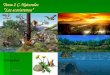 Presentación tema 2 "Los ecosistemas"