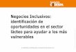 Negocios Inclusivos: identificación de oportunidades en el sector lácteo para ayudar a los más vulnerables