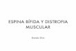 Espina Bífida y Distrofia Muscular