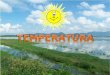 Terminología de meteorología e instrumentos para medir temperatura