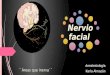 Anestesiologia - nervio facial