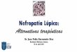 Nefropatia lupica, alternativas terapeuticas