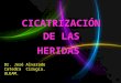 Cicatrizacion  DE LAS HERIDAS 2014 a