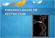 Endonucleasas de Restricción