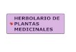 Herbolario de plantas medicinales