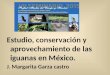 Estudio  conservacion y aprovechamiento de las iguanas en mexico