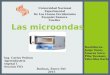 microondas conservacion de alimentos ing ysabel linares