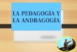 Actividad 2.2 pedagogia andragogia