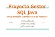 Proyecto Gestor SQL en Java - Programacion 3