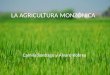 La agricultura monzónica