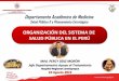 ORGANIZACIÓN DE LA SALUD PUBLICA EN EL PERU
