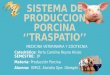 Sistema de produccion porcina ''TRAS-PATIO