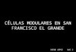 VIVIENDAS MODULARES EN SAN FRANCISCO EL GRANDE