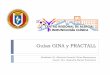 Sesión Académica del CRAIC: Guías GINA y PRACTALL