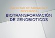 Biotransformacion xenobioticos