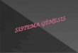 Sistema génesis diapositivas