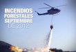 Enlace Ciudadano Nro. 290 - Incendios Forestales 2012