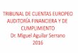 Auditoría Financiera y de Cumplimiento - Tribunal de Cuentas Europeo. ENE.2016 – Dr. Miguel Aguilar Serrano