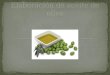 Elaboración de aceite de oliva