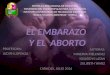 El Embarazo y El Aborto