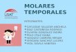 morfología externa de molares temporales