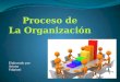 Proceso de estructuración de la Organizacion