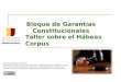 ENJ 200 - Bloque de Garantías Constitucionales II: Habeas Corpus