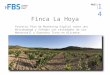 Proyecto Finca La Hoya