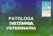 Patología sistémica Veterinaria. UC2 Piel