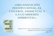Organización Institucional, El Control Ambiental y la Guarderia Ambiental
