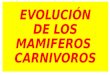 Evolución  mafiferos carnivoros