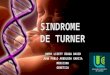 Síndrome de Turner