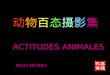 Actitudes animales