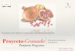 Proyecto Granada/Projecte Magrana
