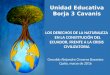 Los derechos de la naturaleza   en la constitución del ecuador, frente a la crisis civilizatoria 1