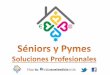 Séniors y pymes. soluciones profesionales