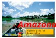 Amazonas agenda para el desarrollo