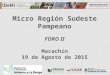 Presentacion II Foro - Micro Región Sudeste de LP
