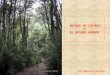 El Bosque de Coihues o Bosque Húmedo