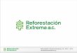 Reforestacion Extrema Reporte Anual 2012-2013