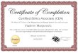 CEA Certificate